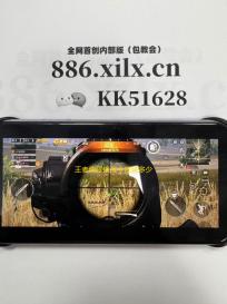 王者荣耀镜战令皮肤多少钱